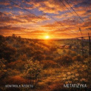 kontrola afektu