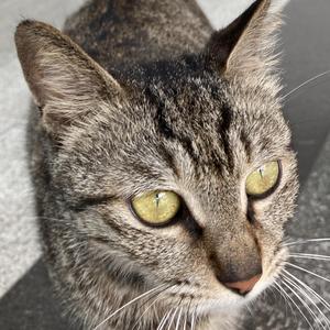 That’s What She Said