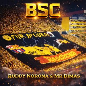 B.S.C