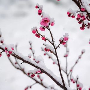 " 寒江雪 " 民族风Beat 刀郎 × Gunna Type Beat