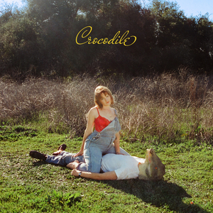 Crocodile