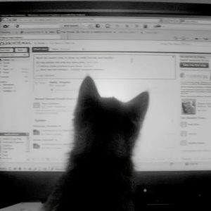 “you know” MULA SAKEE&New Jazz Type Beat