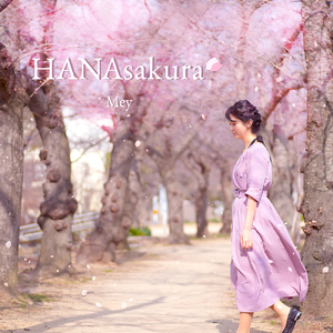 HANAsakura