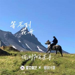 选择是你的权利