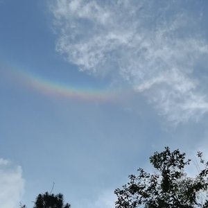 杜佳阳-《我怕来不及》-宥橙（杪淼妙 remix）