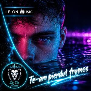 Te-am pierdut frumos