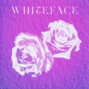 勿忘我（祝你好梦）