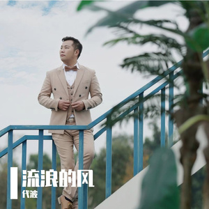流浪的风 代波
