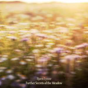 Further Secrets of the Meadow (Ambient Mix)