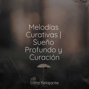 Armonía Calmante