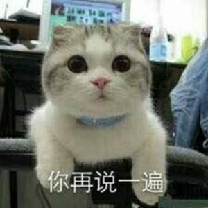 认真的老去（Cover 张希 / 曹方）