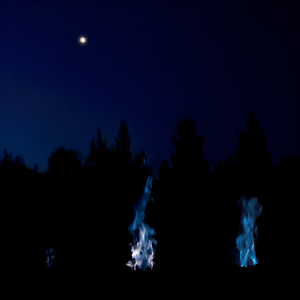 Түүл ду илэ ду? (Live)