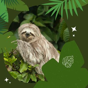 Kołyszące Wąsy (Sekwencja do Zapętlania)