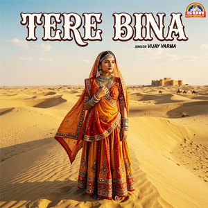 Tere Bina