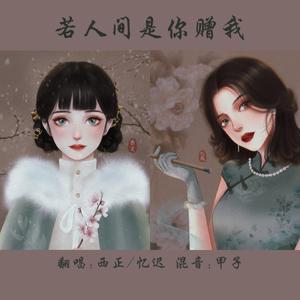 若人间是你赠我