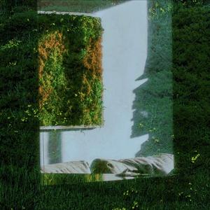 Regrowth