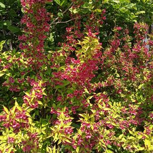 江边（纯音乐）