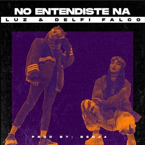 No Entendiste Na (feat. Delfi Falco)
