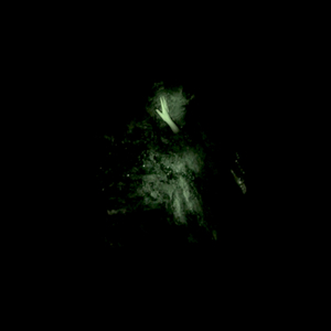 sh 2