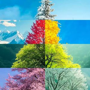 《告别问候中的离情别绪》