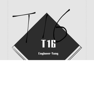 T16