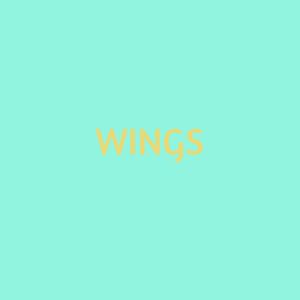 솔솔바람（Wings） 伴奏