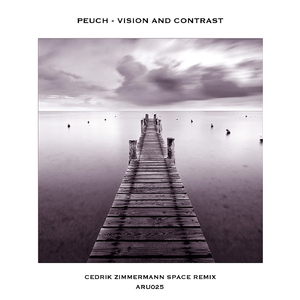 Cmd V (Cedrik Zimmermann Space Remix)