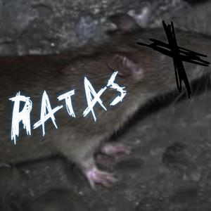 Ratas