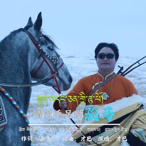 情同手足的骏马