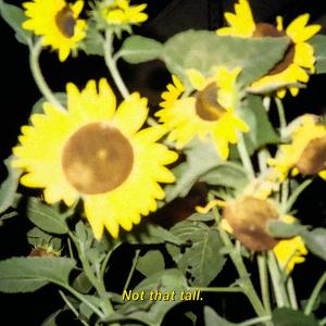 The Reeker (Smell of The Blue)