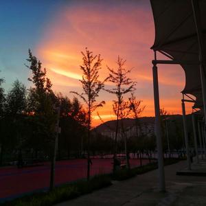 syt=see you tomorrow