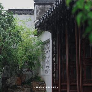 江南等雨停 Rainbound in Jiangnan