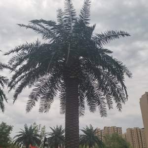 青春未央•爱未晚