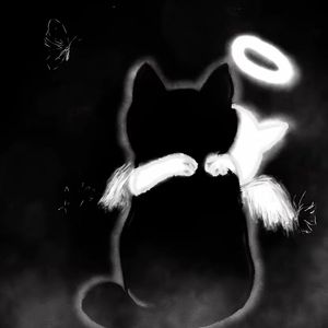 想你时风起（cover:单依纯）