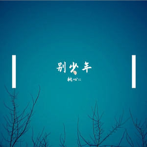 别少年（翻自 吕炸炸）