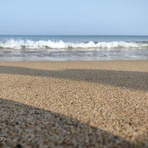 秋海001