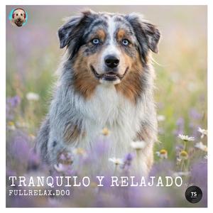 Tranquilo y relajado