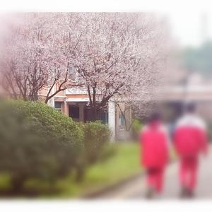 T.F.L.M.（FT.徐彬涵）