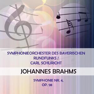 Symphonie Nr. 4 E Minor, Op. 98: Allegro energico e passionato - Thema con variationi