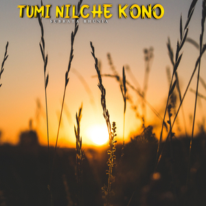 Tumi nilche kono
