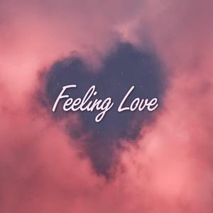 Feeling Love(Prod.by AI.N）