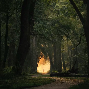 Cracks in the Shade（Prod by Keerad）