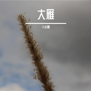 大雁
