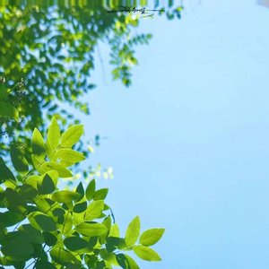 潮湿的夏天