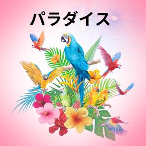 パラダイス