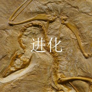 进化(The Evolution)