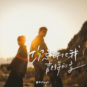 你忘掉比我记得的多