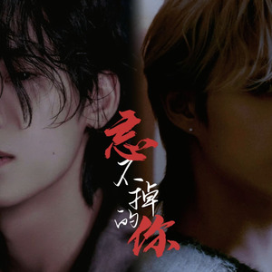 [AI COVER]珉灰-忘不掉的你