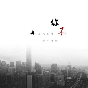 你不再是我置顶