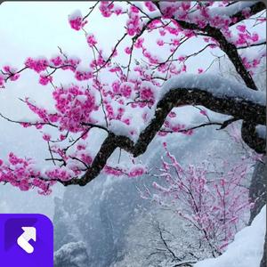 各位朋友听一听 (现场)